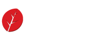 http://oboisinternational.com/
